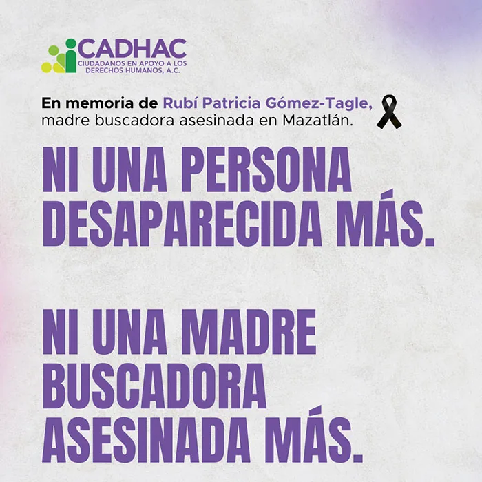 CADHAC: Lo que se construyó, imagen 2 de 3