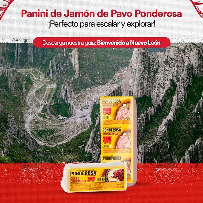 Ponderosa: Lo que se construyó, imagen 2 de 2